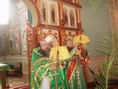 Вхід Господній до Єрусалима – свято Божественного торжества.