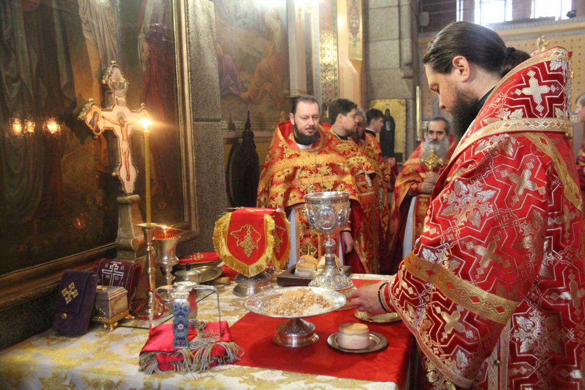 Десниця великомученика Георгія прибула в місто Житомир!