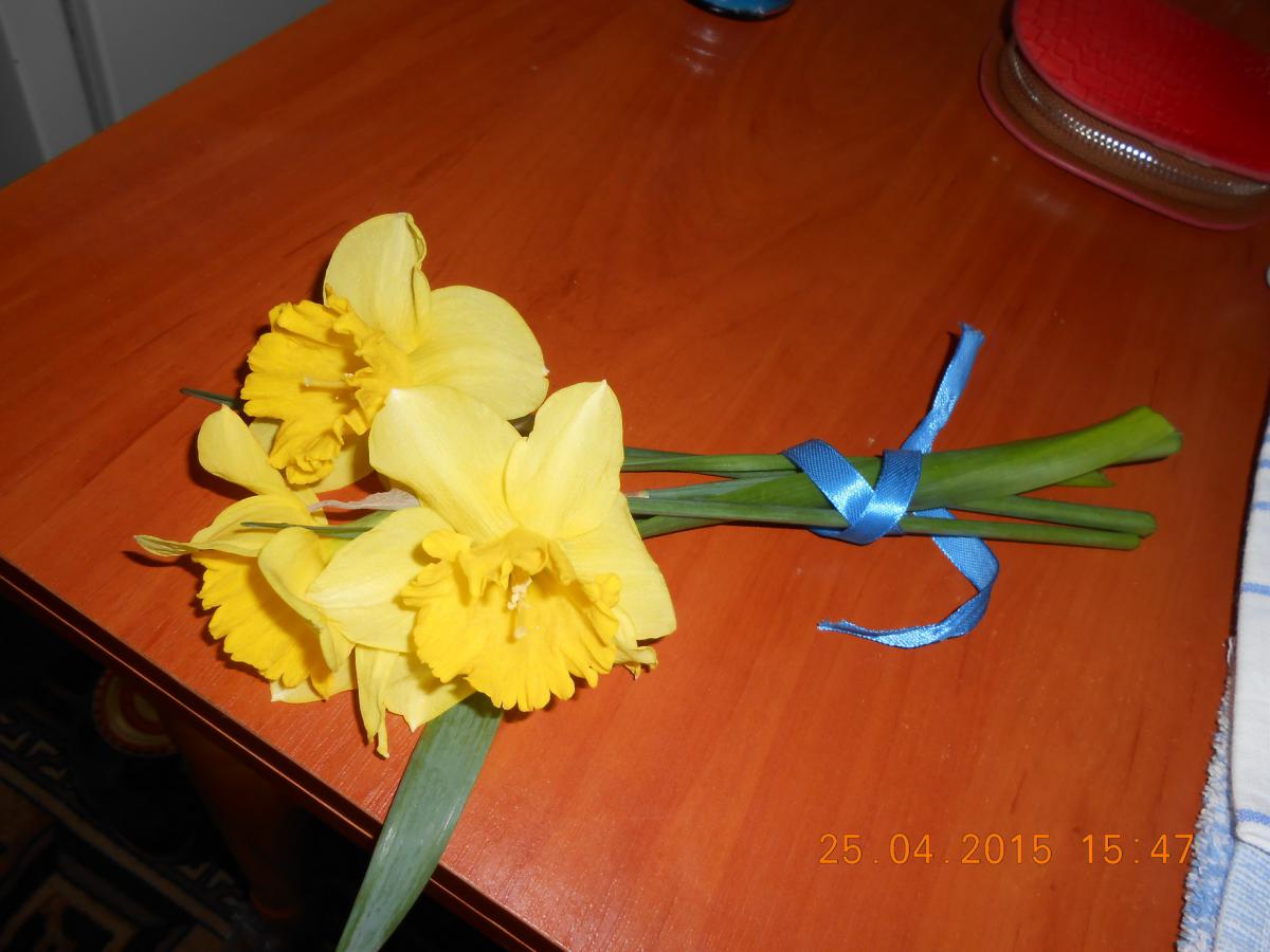Сонце свята