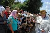 Престольне свято Житомирського Спасо-Преображенського кафедрального собору.