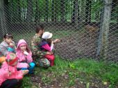 Діти побували в лісництві с. Очеретянки. 