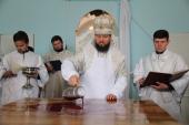 Архієрейський візит у Чуднівське благочиння: освячення Свято-Михайлівського храму у селищі Карпівці!