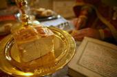 <div align="justify"><p>14 листопада Свята Православна Церква шанує день памяті святих Косьми і Доміана. В одній із церков Баранівського округу - с.Дубрівка сьогодні престольне свято, на яке прибули священники з нашої і Хмельницької єпархій, по запрошенню настоятеля прот.Володимира.    <p>Очолив службу благочинний Баранівського округу прот.Роман Клим. Багато вірян прибули на свято розділити радість святкового Богослужіння. Під час Божественної Літургії люди сподобились причаститися Святих Христових Таін. Пі