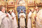 Різдвяний візит архіпастиря у Андрушівське благочиння: літургія та благодійний вечір колядок!