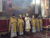 Неділя Торжества Православ'я: архієрейське богослужіння у Спасо-Преображенському кафедральному соборі міста Житомира.