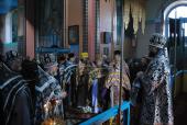 Сповідь Андрушівського благочиння. Літургія Напередосвячених Дарів у Червоному.