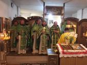 Духовенство Ружинщини приступило до таїнства сповіді.