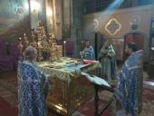 Перебування Святогірської ікони Божої Матері в Житомирі: нічна літургія у кафедральному соборі!