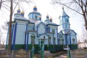 Архіпастирський візит на Черняхівщину: Божественна літургія у Свято-Троїцькому храмі с. Троковичі.