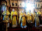 Триває Різдвяний піст: загальна сповідь духовенства Бердичівського благочиння
