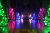 У святі різдвяні дні своєю особливою вишуканістю та красою дивує житомирян величний і головний єпархіальний храм - Спасо-Преображенський кафедральний собор.