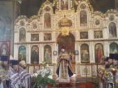 Соборне богослужіння і таїнство Покаяння  духовенства Новоград-Волинського Троїцького округу